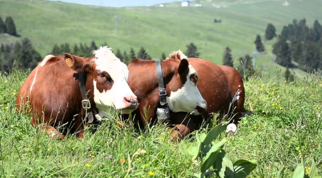 savoie insolite : 5 lieux méconnus à visiter absolument